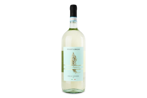 Вино PavoNero Pinot Grigio DOC біле сухе