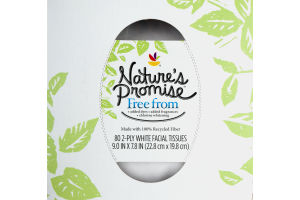 Nature's Promise Facial Tissues - 80 CT