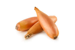 Цибуля шалот бананова