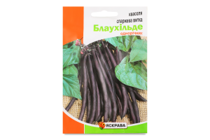 Насіння Квасоля витка Блаухільде фіолетова пакет гігант 10г Яскрава