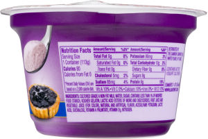 Dannon Light & Fit Greek Mousse Yogurt Blueberry Tart