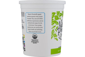 Nature's Promise Organic Lowfat Yogurt Vanilla