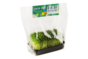 Мікрозелень Green Farm кінза