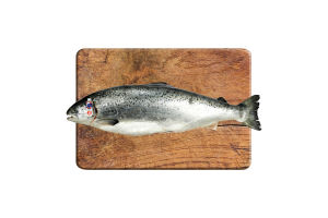 Лосось шотландский Lable Rouge охлажденный  