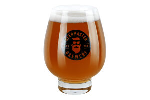 Пиво Neptune Brewery Ukrainian GoldenAle світ розл