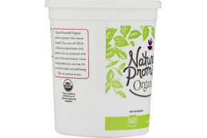 Nature's Promise Organic Greek Whole Milk Yogurt Plain