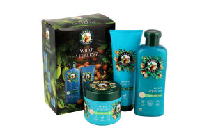 Набiр Argan Oil Шампунь 350мл+Бальзам-ополіскувач 250мл+Маска д/волосся 300мл Herbal Essences