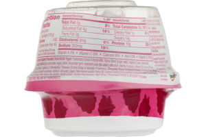 Yoplait Dippers Greek Nonfat Yogurt Raspberry Chocolate Chunk + Choco-Drizzled Pretzels