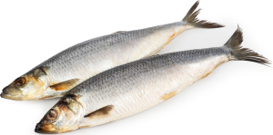 Оселедець пряного посолу охол. ваг