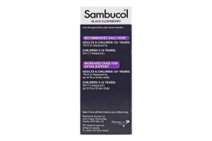 Добавка диетическая сироп с черной бузиной Оригинальный Sambucol 120мл