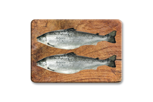 Семга (лосось) 0,5-2кг охлажденный  