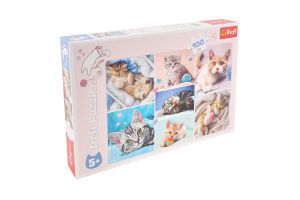 Пазл 100елементів в асортименті Трефль