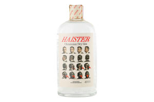 Джин 0.7л 42% Haister пл