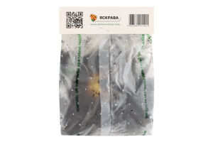 Цибулина Лілія Скорпіо орієнтальна Яскрава