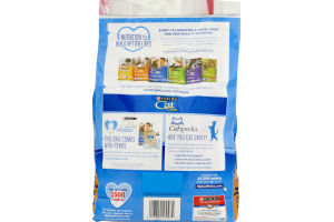 Purina Cat Chow Complete