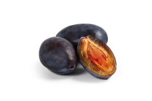 Слива отечественная