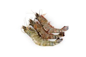 Креветки Сільпо тигр чорн панц сир глаз с/м 8/12