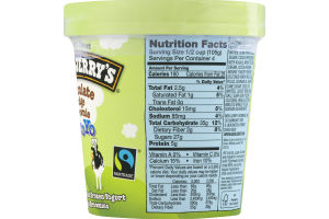 Ben & Jerry's FroYo Low Fat Frozen Yogurt Chocolate Fudge Brownie