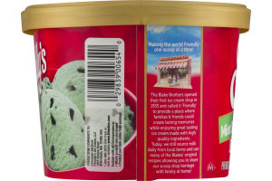 Friendly's Premium Ice Cream Mint Chocolate Chip