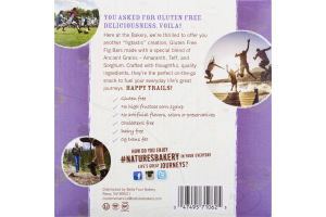 Nature's Bakery Fig Bar - 6 CT