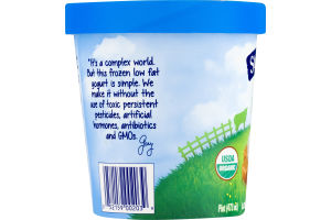 Stonyfield Organic Creme Caramel Frozen Low Fat Yogurt