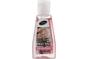CareOne Antibacterial Hand Sanitizer Vanilla Apple Blossom