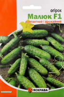 Насіння Огірок Малюк 5г Яскрава