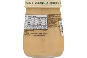 Beech-Nut Organic Stage 2 Bananas