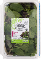 Nature's Promise Organic Spring Mix