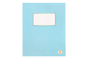 Зошит шкільний Фонова коса лінія 12аркушів Тетрада