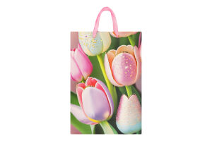 Пакет паперовий Jumbo Flores 33*12,7*47,7см в асортименті Malevaro