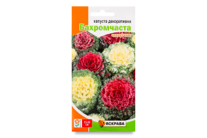 Насіння Капуста декоративна бахромчаста 0,2г Яскрава