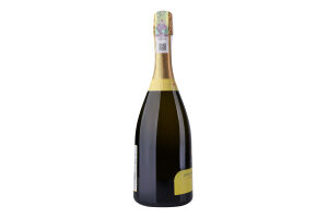Вино ігристе 0.75л 11% біле екстрасухе Prosecco Superiore Valdobbladene Porta Leone пл