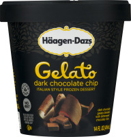 Haagen-Dazs Gelato Dark Chocolate Chip