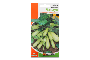 Насіння Кабачок Чаклун 3г Яскрава