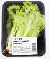 Салат Erucafarm