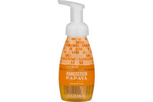 CareOne Foaming Hand Soap Mangosteen Papaya
