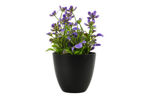 Вазон декоративний з польовими квітами 16*15*15см в асортименті BMG