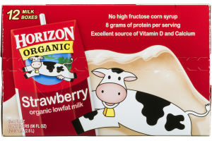 Horizon Organic Lowfat Milk Strawberry - 12 CT