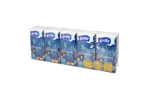 Хустинки носові паперові Блосом 3шари 10*10шт Гріт