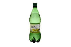 Naure's Promise Sparkling Water Beverage with Organic Lemon Flavor