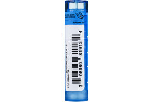 Boiron Zincum Metallicum 30 C - 80 CT