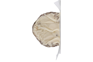 Ahold Maple Pecan Goat Cheese Log