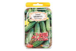 Насіння Огірок Цезар F1 дражоване 3г Яскрава