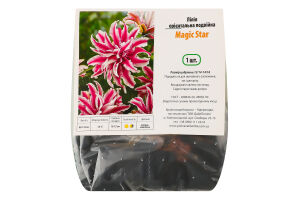 Цибулина Лілія Меджік Стар орієнтальна подвійна Яскрава