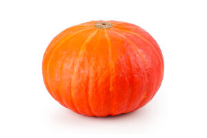 Гарбуз Дунайський Аграрій Декор органічний