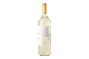 Вино 0.75л 10% белое сухое виноградное Castillo Lagomar бут