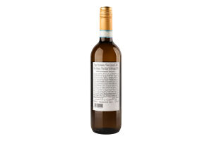 Вино 0.75л 12% біле сухе виноградне DOC Delle Venezie Піно Грі Terra Italianica пл