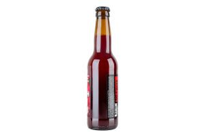 Пиво 0.33л 3.8% нефильтрованное непастеризованное особое True Borsch Sour Red Cat Brewery бут