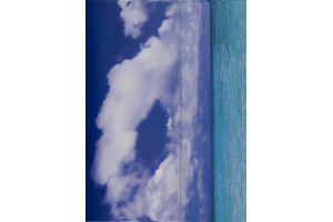 Ahold Facial Tissues Strong & Gentle 2-Ply White Unscented - 160 CT